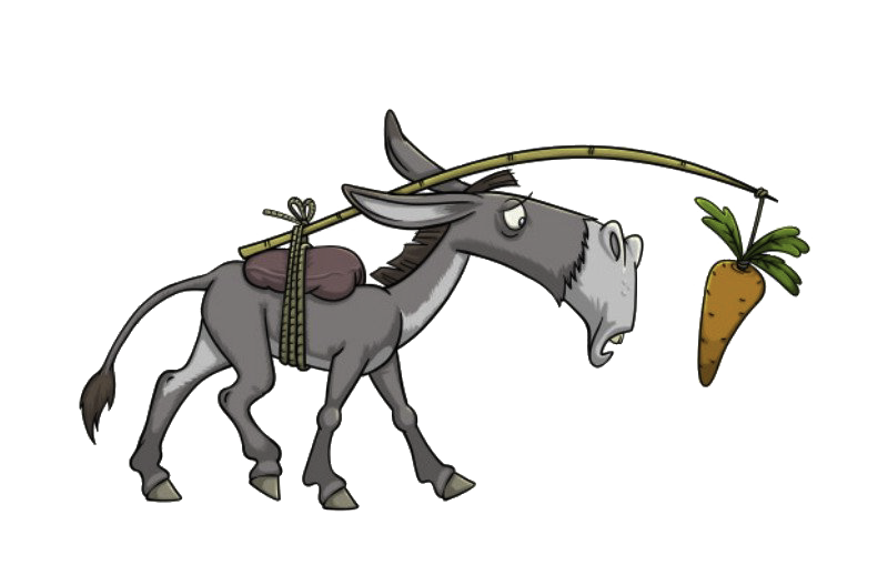 dumb donkey